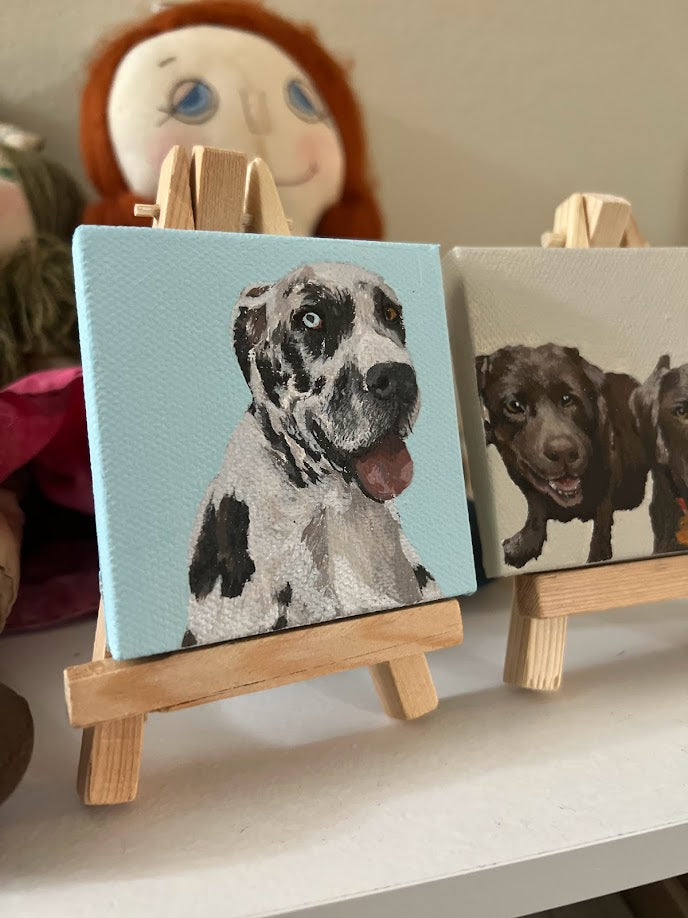Mini Pet Portrait