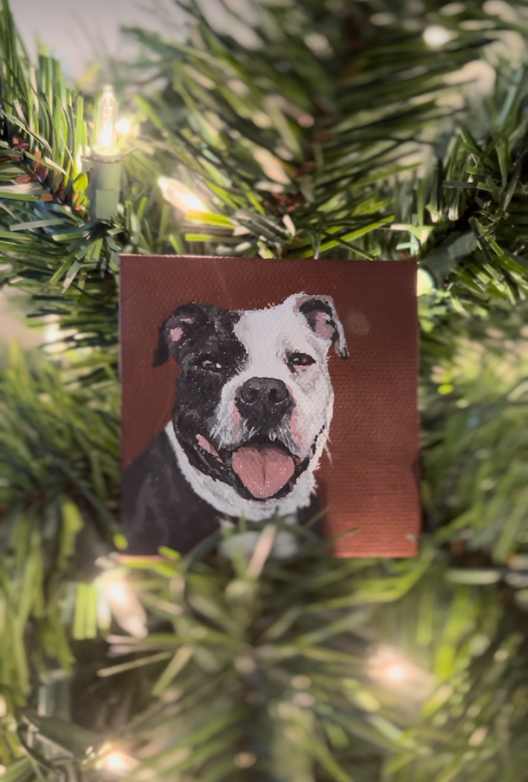 Mini Pet Portrait
