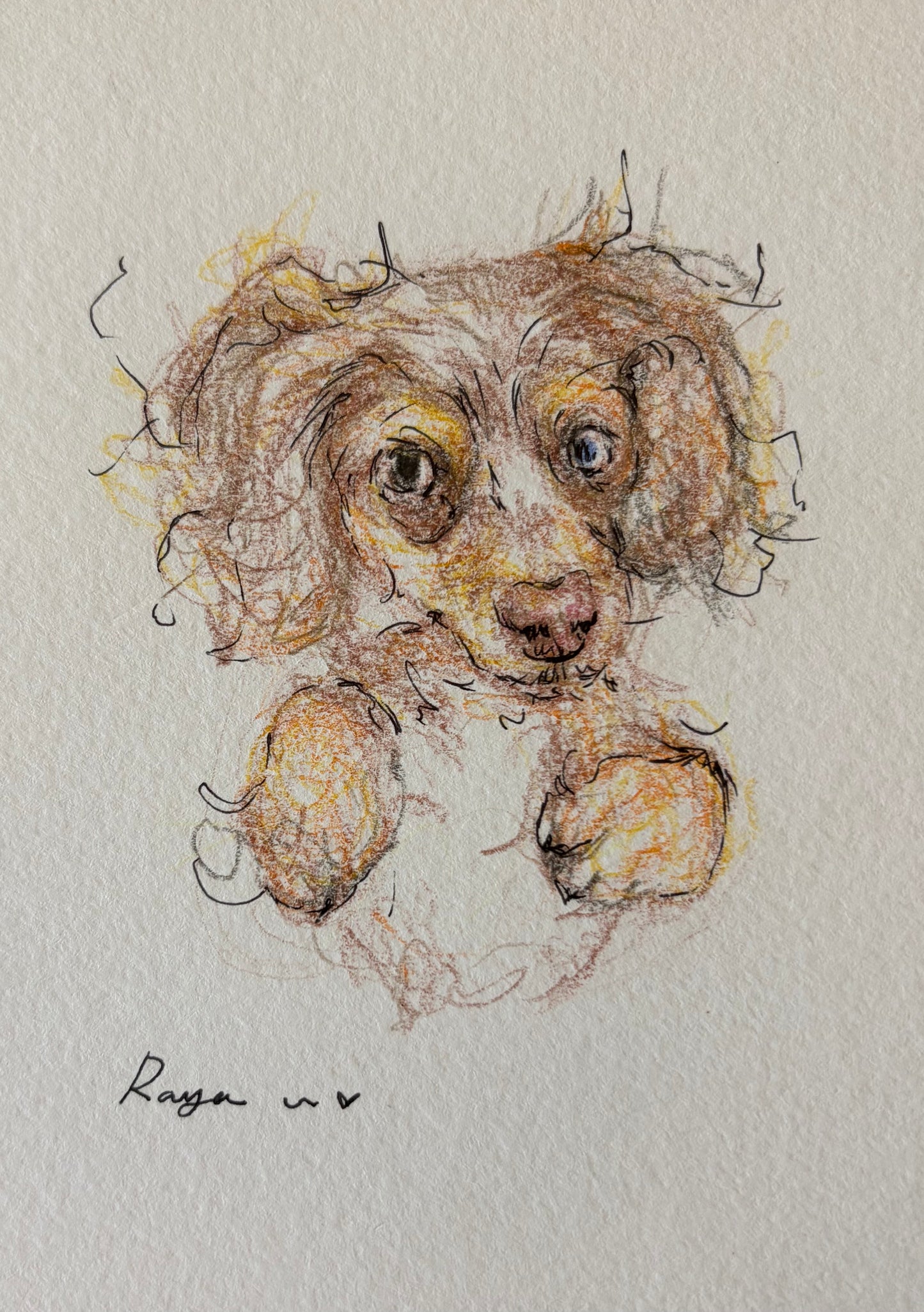 Custom Pet Portrait 4"x 6" / Color Pencil