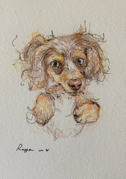 Custom Pet Portrait 5"x 7" / Color Pencil