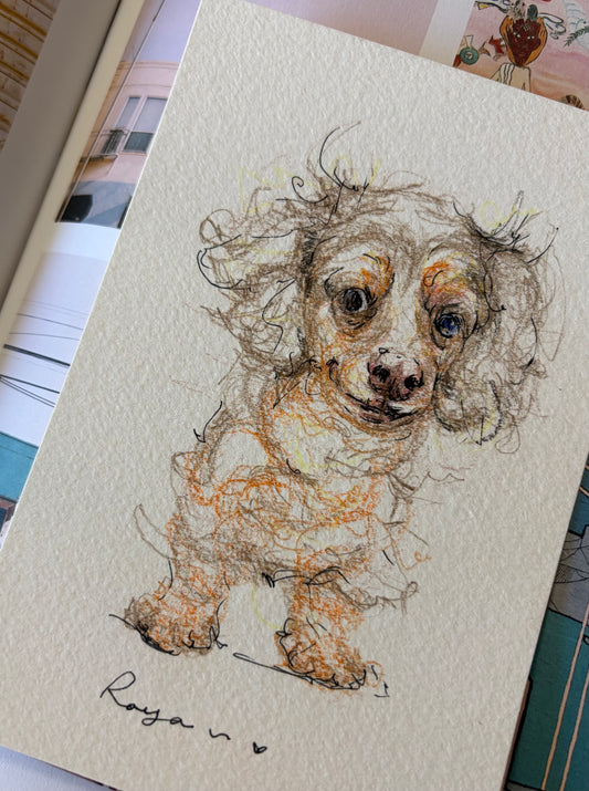 Custom Pet Portrait 4"x 6" / Color Pencil