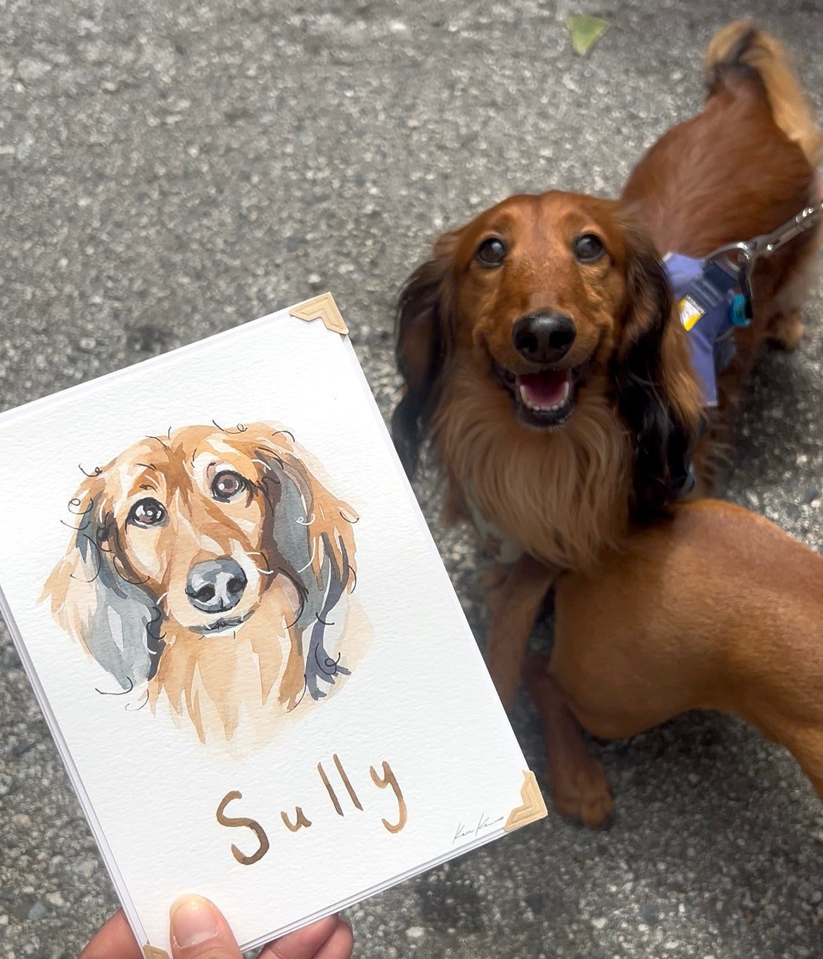 Custom pet portrait by Kaae Kanno