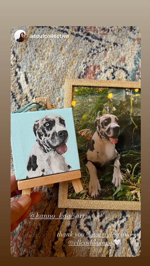 Mini Pet Portrait